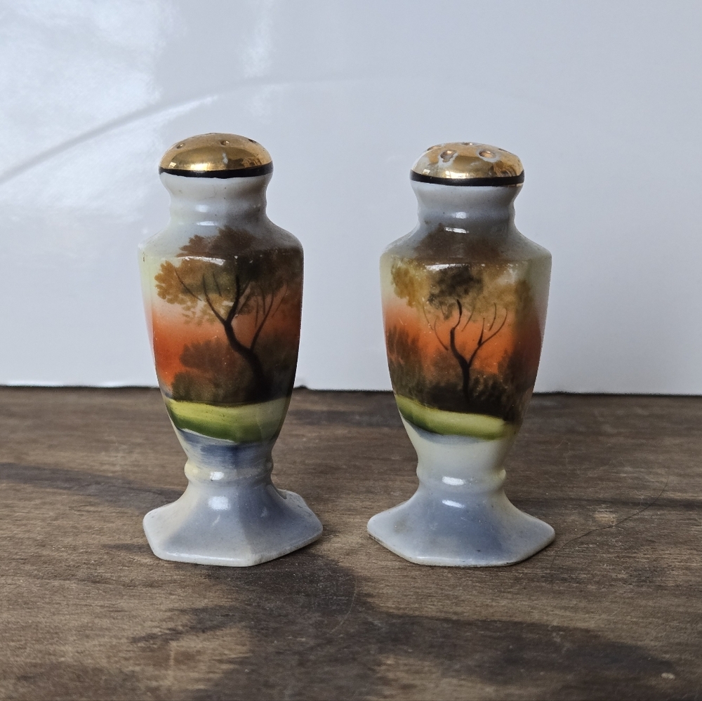 Vintage Japan Hand-Painted Ceramic Salt & Pepper Shaker Set